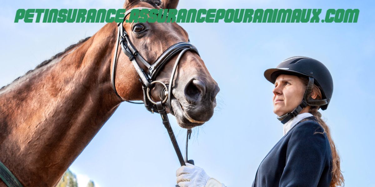 petinsurance.assurancepouranimaux.com